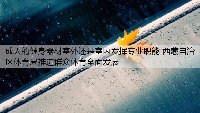 成人的健身器材室外还是室内发挥专业职能 西藏自治区体育局推进群众体育全面发展